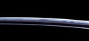 Katana Antica Giapponese firmata Taira Sadashige