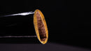 Katana Antica Giapponese firmata Taira Sadashige