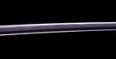 Katana Antica Giapponese di Shitahara - NBTHK Hozon
