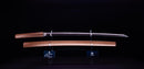 Katana Antica Giapponese firmata Hitachi no Kami Muneshige, NBTHK Hozon