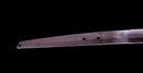 Katana Antica Giapponese firmata Hitachi no Kami Muneshige, NBTHK Hozon