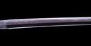 Katana Antica Giapponese firmata Hitachi no Kami Muneshige, NBTHK Hozon