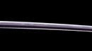Katana Antica Giapponese firmata Hitachi no Kami Muneshige, NBTHK Hozon