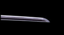 Katana Antica Giapponese firmata Hitachi no Kami Muneshige, NBTHK Hozon