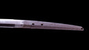 Katana Antica Giapponese firmata Hitachi no Kami Muneshige, NBTHK Hozon