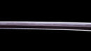 Katana Antica Giapponese firmata Hitachi no Kami Muneshige, NBTHK Hozon