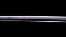 Katana Antica Giapponese firmata Hitachi no Kami Muneshige, NBTHK Hozon