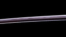 Katana Antica Giapponese firmata Hitachi no Kami Muneshige, NBTHK Hozon