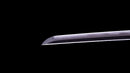Katana Antica Giapponese firmata Hitachi no Kami Muneshige, NBTHK Hozon