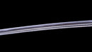 Katana Antica Giapponese firmata Iwagami Sadahiro