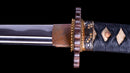 Katana Antica Giapponese firmata Iwagami Sadahiro