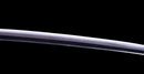 Katana Antica Giapponese firmata Takada Jū Fujiwara Muneyuki - HOZON
