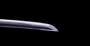 Katana Antica Giapponese firmata Takada Jū Fujiwara Muneyuki - HOZON