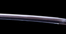 Katana Antica Giapponese firmata Takada Jū Fujiwara Muneyuki - HOZON
