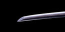 Katana Antica Giapponese firmata Takada Jū Fujiwara Muneyuki - HOZON
