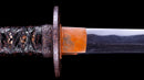 Katana Antica Giapponese di Takada Munekage - Late Muromachi - Doppio HOZON