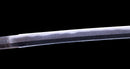 Katana Antica Giapponese di Takada Munekage - Late Muromachi - Doppio HOZON
