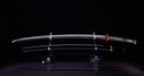 Katana Antica Giapponese della Scuola Ishido - NBTHK Hozon