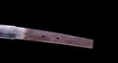 Katana Antica Giapponese della Scuola Ishido - NBTHK Hozon