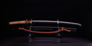 Katana Antica Giapponese firmata Omi no Kami Fujiwara Tsuguhiro - NBTHK Hozon