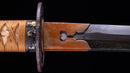 Katana Antica Giapponese firmata Omi no Kami Fujiwara Tsuguhiro - NBTHK Hozon