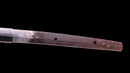 Katana Antica Giapponese firmata Omi no Kami Fujiwara Tsuguhiro - NBTHK Hozon