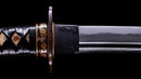 Katana Antica Giapponese firmata Enomoto Tatsuyoshi