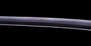 Katana Antica Giapponese con Sukashi in Ferro e Koshirae