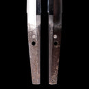Wakizashi by Shinano no Kami Fujiwara Daidō - Tokubetsu Hozon Token