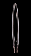 Wakizashi by Shinano no Kami Fujiwara Daidō - Tokubetsu Hozon Token