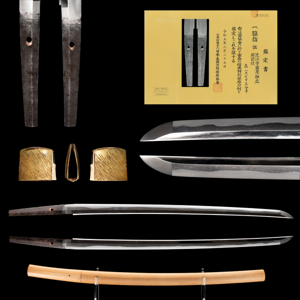 Wakizashi di Omi no Kami Fujiwara Tsuguhiro - NBTHK Tokubetsu Hozon