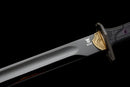 Spada Tattica Midnight Tactical Gladius — DLC Elite