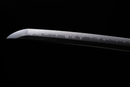 Fujiwara Sukesada Katana