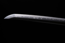 Fujiwara Sukesada Katana